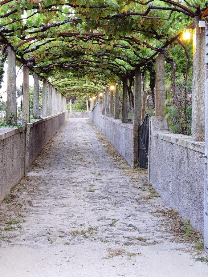 Quinta Sao Francisco Rural Resort - Regina Hotel Group 维亚纳堡 外观 照片